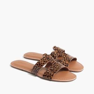 J. CREW Factory TORTOISE Sandal (8)